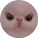 :lars2: